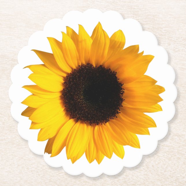 Sonnenblume-PapierUntersetzer Untersetzer (Vorderseite)