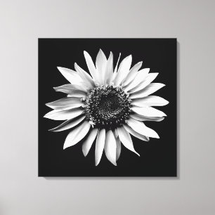 "Sonnenblume-Porträt" wickelte Leinwand-Druck ein Leinwanddruck