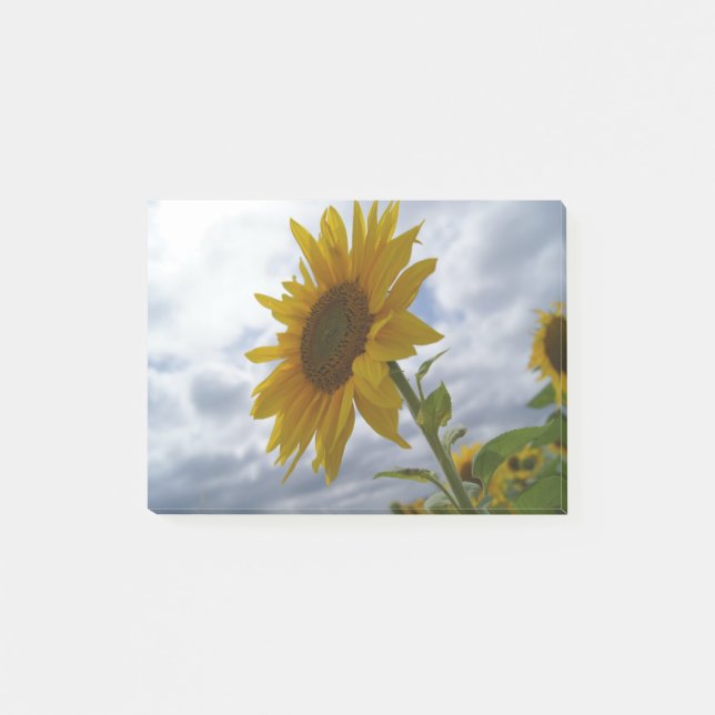Sonnenblume Post-it Klebezettel (Vorderseite)