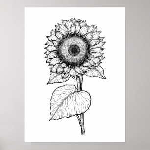Sonnenblume Poster