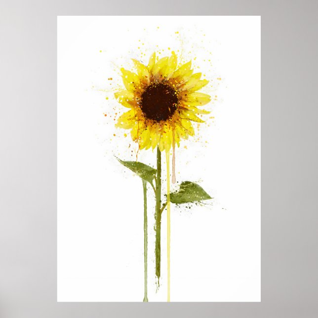 Sonnenblume Poster (Vorne)