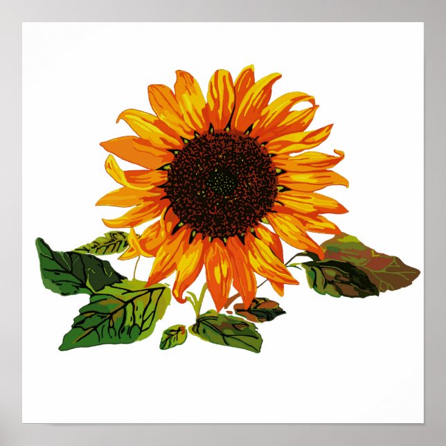 Sonnenblume Poster (Vorne)