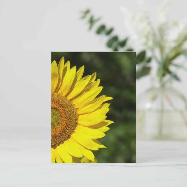 Sonnenblume Postkarte (Stehend Vorderseite)