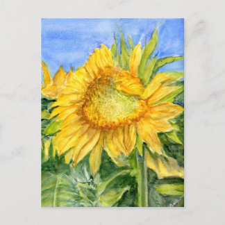 Sonnenblume Postkarte