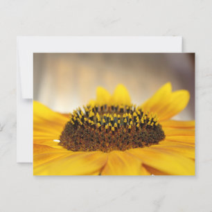 Sonnenblume Postkarte