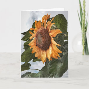 Sonnenblume Power Geburtstagskarte Karte
