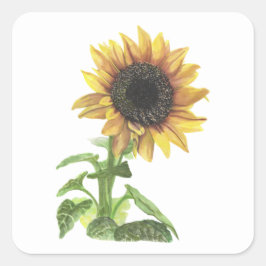 Sonnenblume Quadratischer Aufkleber