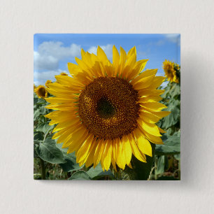 Sonnenblume-quadratisches Abzeichen Button