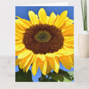 SONNENBLUME RELIGIÖSE MITGEFÜHL-KARTE KARTE