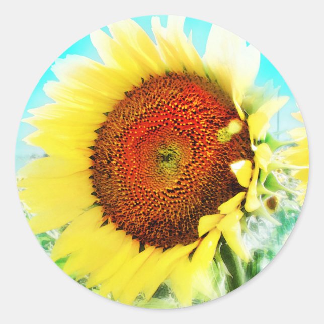 Sonnenblume Runder Aufkleber (Vorderseite)
