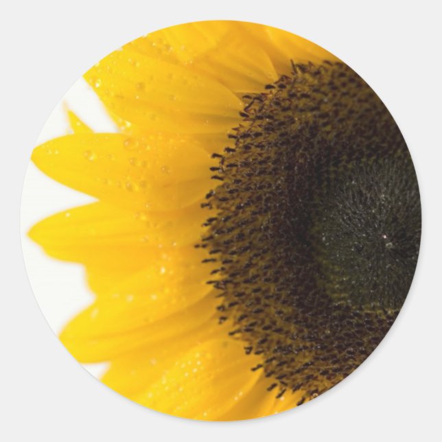 Sonnenblume Runder Aufkleber (Vorderseite)