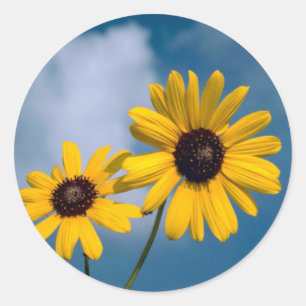 Sonnenblume Runder Aufkleber