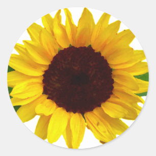 Sonnenblume Runder Aufkleber
