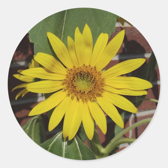 Sonnenblume Runder Aufkleber (Vorderseite)
