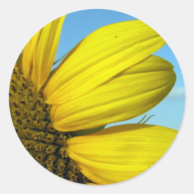Sonnenblume Runder Aufkleber (Vorderseite)