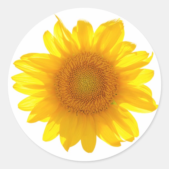 Sonnenblume Runder Aufkleber (Vorderseite)