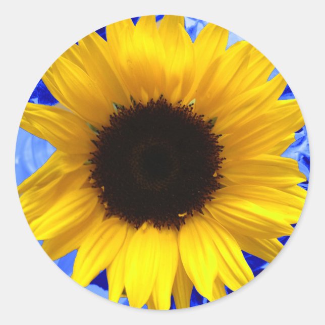 Sonnenblume Runder Aufkleber (Vorderseite)