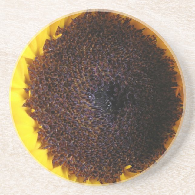 Sonnenblume Sandstein Untersetzer (Vorne)
