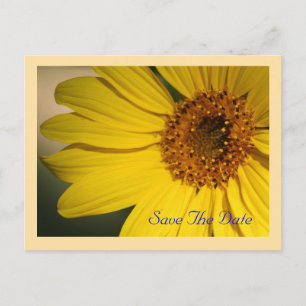 Sonnenblume Save The Date Postkarte