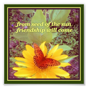 Sonnenblume-Schmetterlings-Freundschafts-Samen Fotodruck