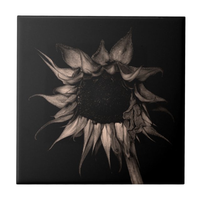 Sonnenblume - Schöne Coole Kunst Fliese (Vorderseite)