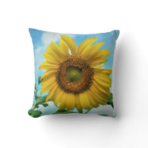 Sonnenblume-Schutz