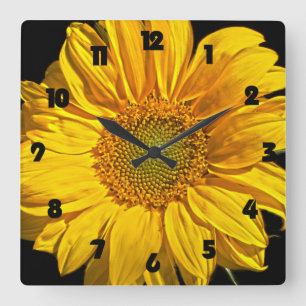 Sonnenblume Schwarze Fettzahl wc Quadratische Wanduhr