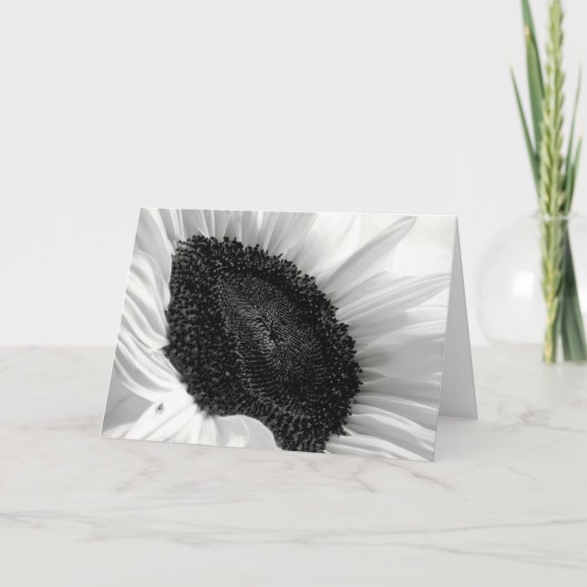 Sonnenblume-Schwarzweiss-Fotografie Karte (Vorderseite)