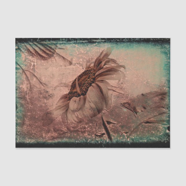 Sonnenblume Sepia Grün Alte Vintage antike Textur Seidenpapier (Vorderseite)