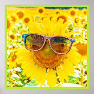 Sonnenblume Shades Chic Poster