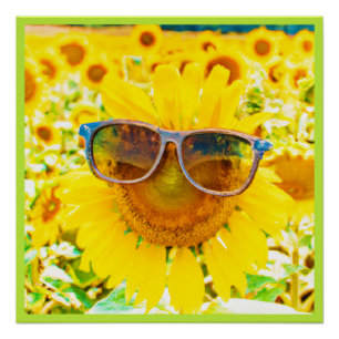 Sonnenblume Shades Chic Poster
