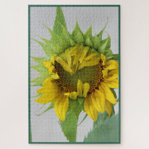Sonnenblume "Shy" Puzzle