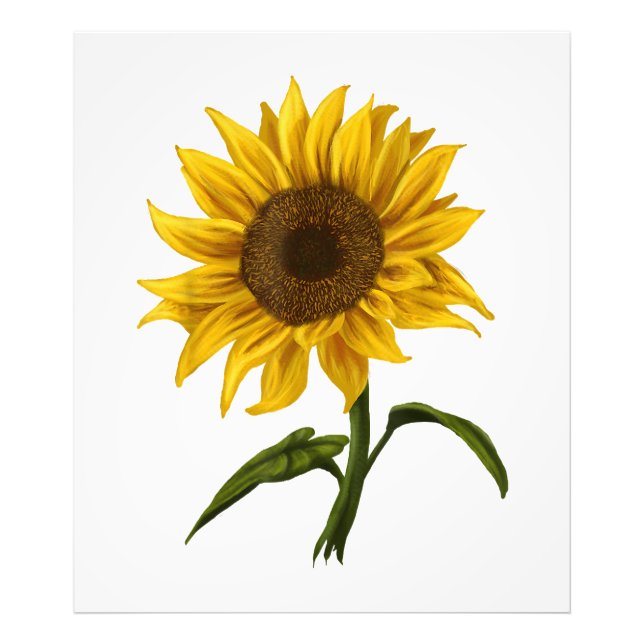Sonnenblume Sonnenschein Blume Wasserfarben Fotodruck (Vorne)