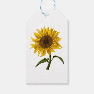 Sonnenblume Sonnenschein Blume Wasserfarben Geschenkanhänger
