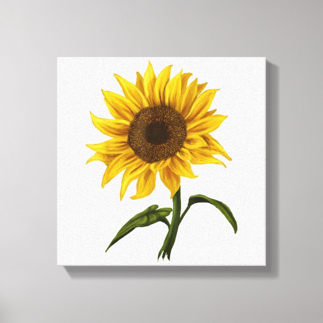 Sonnenblume Sonnenschein Blume Wasserfarben Leinwanddruck (Vorderseite)