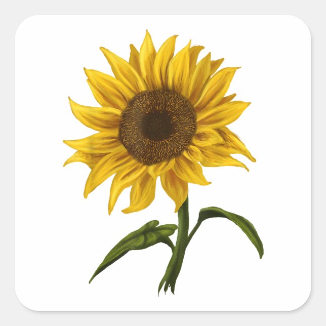 Sonnenblume Sonnenschein Blume Wasserfarben Quadratischer Aufkleber (Vorderseite)