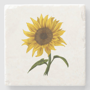 Sonnenblume Sonnenschein Blume Wasserfarben Steinuntersetzer