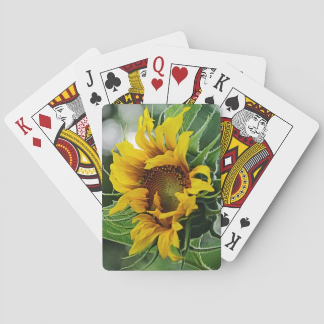 Sonnenblume Spielkarten (Rückseite)