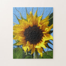 Sonnenblume-starke Spanplatte angebrachte
