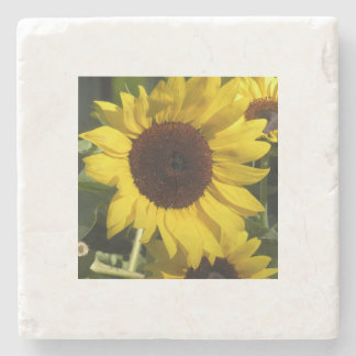 Sonnenblume Steinuntersetzer