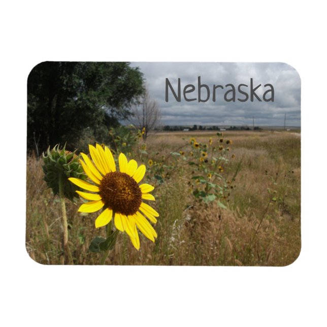 Sonnenblume, Stormy Sky, Western Nebraska Landscha Magnet (Horizontal)