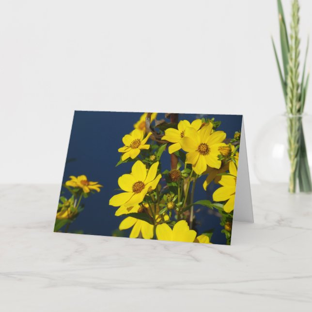 "Sonnenblume Sümpfe 1."Grußkarte Karte (Vorderseite)