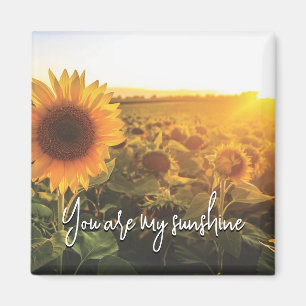 Sonnenblume Sunshine Magnet