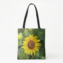 Sonnenblume