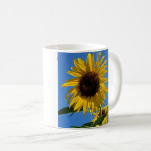 Sonnenblume-Tasse Kaffeetasse