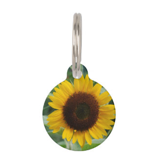 Sonnenblume Tiermarke