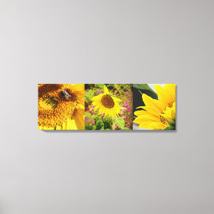 Sonnenblume-Trio Leinwanddruck