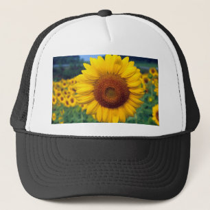 Sonnenblume Truckerkappe