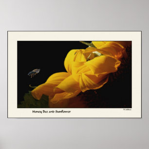 Sonnenblume-u. Bienen-Druck Poster