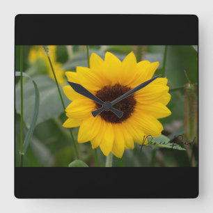 Sonnenblume Uhr